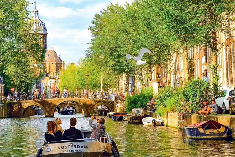 From Amsterdam: Private Full-Day Tour in the Netherlands