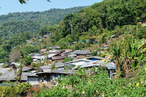 Chiang Mai : Visite d'une demi-journée du Doi Suthep et du village Hmong