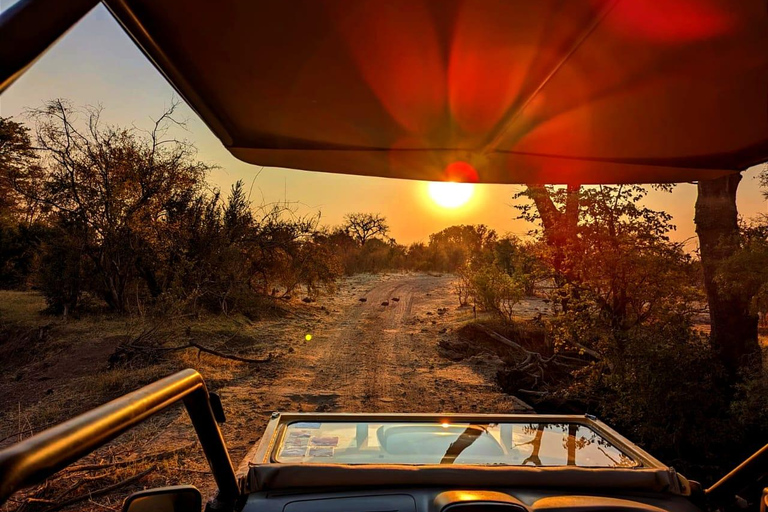 Victoria watervallen: Game drive of safari voor alleenreizenden