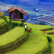 From Hanoi: Fansipan & Cat Cat 2-Day Tour