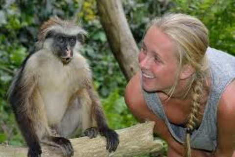 Zanzibar: Jozani Forest, Spice Farm & Stone Town Full-Day. TOUR WITH HOTEL TRANSFER PICKUP AND DROP