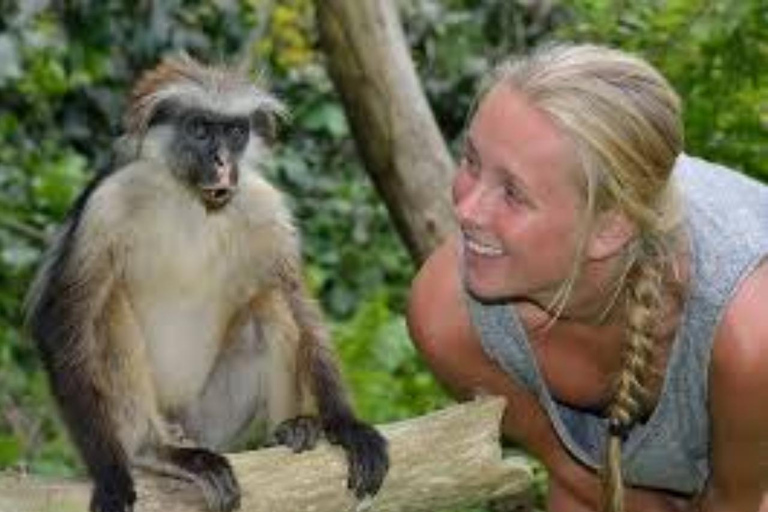 Zanzibar: Jozani Forest, Spice Farm & Stone Town Full-Day. TOUR WITH HOTEL TRANSFER PICKUP AND DROP