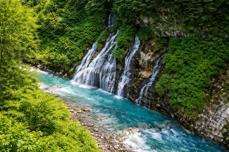 Hokkaido Summer: Furano Flower Fields & Blue Pond Photo Tour Summer Hokkaido: Colorful Flower Fields, Blue Pools, Alpaca