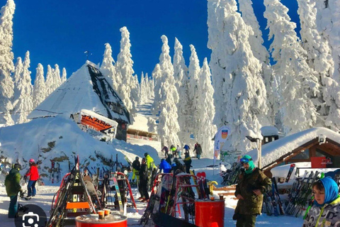 Transilvania: Tour privado por los Mercados Navideños: Brasov y Sibiu