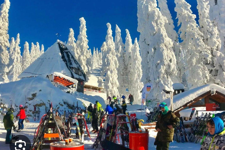 Transylvanie : Visite privée des marchés de Noël : Brasov et Sibiu