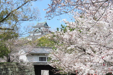 Wakayama: doświadczenie kulinarne i zwiedzanie zamkuWakayama: kolacja z samurajem i zwiedzanie zamku