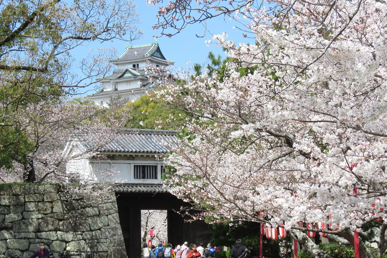 Wakayama: doświadczenie kulinarne i zwiedzanie zamkuWakayama: kolacja z samurajem i zwiedzanie zamku