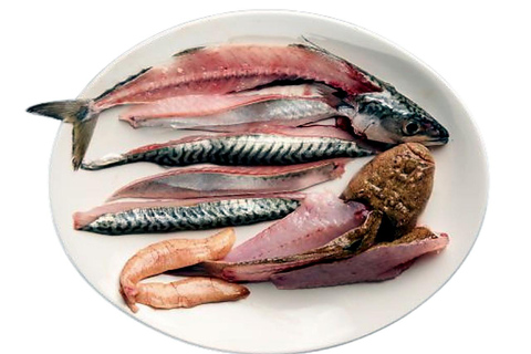 Girona: Fish & Seafood Cooking Class Workshop Girona: Fish & Seafood Cooking Class Workshop