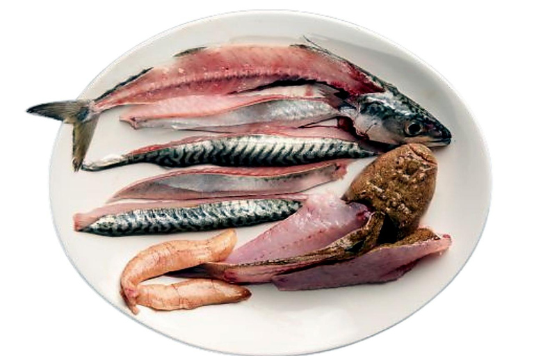Girona: Fish & Seafood Cooking Class Workshop Girona: Fish & Seafood Cooking Class Workshop