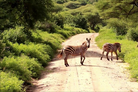 2-dagars safari till Tarangire och Lake Manyara National...