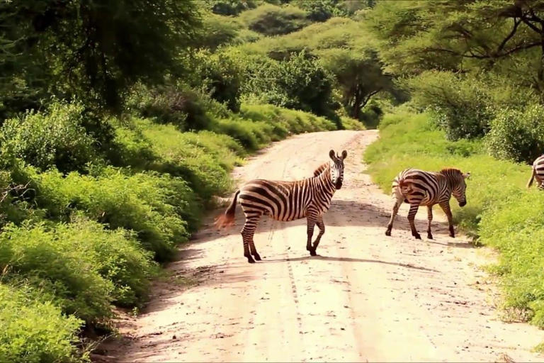 Safari de 2 jours dans les parcs nationaux du Tarangire et du lac Manyara...