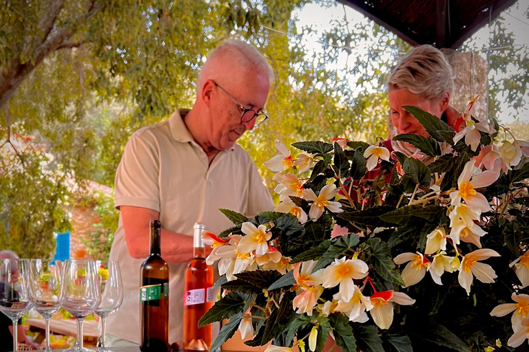 اكتشف كنوز نبيذ مايوركا في أحد أفضل مصانع النبيذمايوركا: اكتشف كنوز النبيذ المحلي