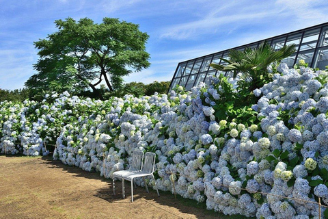 Jeju: Private Shore Excursion for Cruise Guests– West&South Seogwipo Gangjeong Port