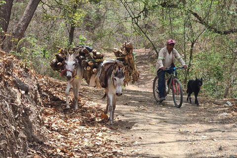 Oaxaca: Bike Tour with Visit to Monkey Tree & Bread Maker