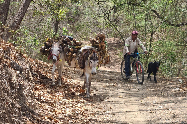 Oaxaca: Bike Tour with Visit to Monkey Tree & Bread Maker