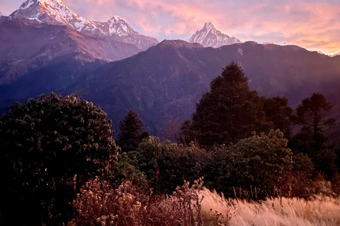 Pokhara: trekking di 3 giorni a Poon Hill con vista sull&#039;alba