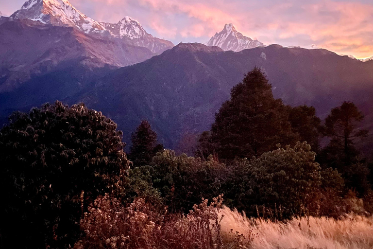 Pokhara : Trek de 3 jours à Poon Hill avec vue sur le lever du soleil