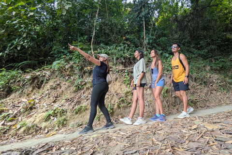 Coffee and Cacao Experience in Minca