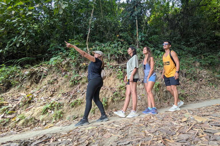 Coffee and Cacao Experience in Minca