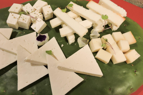 Lanzarote: Vineyard Tour & Wine Tasting with Cheese