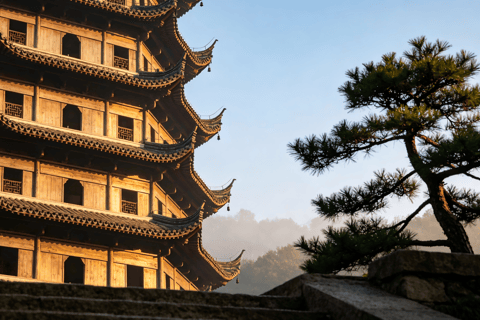Hangzhou Half-Day: Pagoda, Bamboo Grove, and Old Street Tour