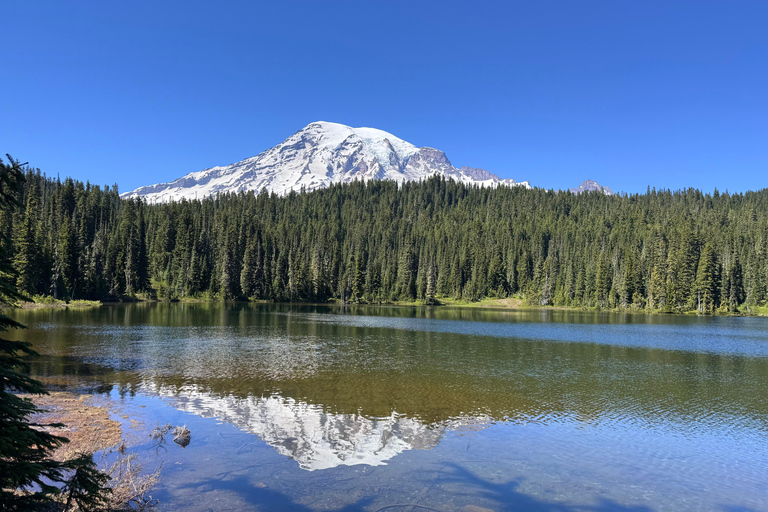 Mount Rainier National Park Small-Group DayTour from Seattle