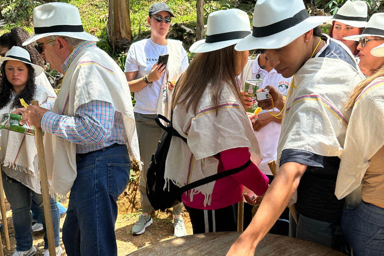 Coffee and Exotic Fruit Tour from Medellín with Lunch Coffee and Exotic Fruit Tour from Medellín with Lunch.