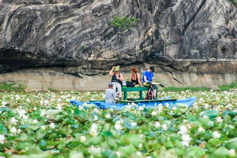 Sigiriya, Dambulla, Village Safari Day Tour including lunch