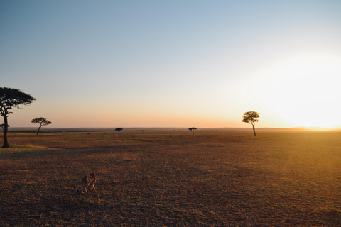 6 dagars safari med Tarangire, Serengeti och Ngorongorokratern6 dagars safari i Tarangire, Serengeti och Ngorongorokratern