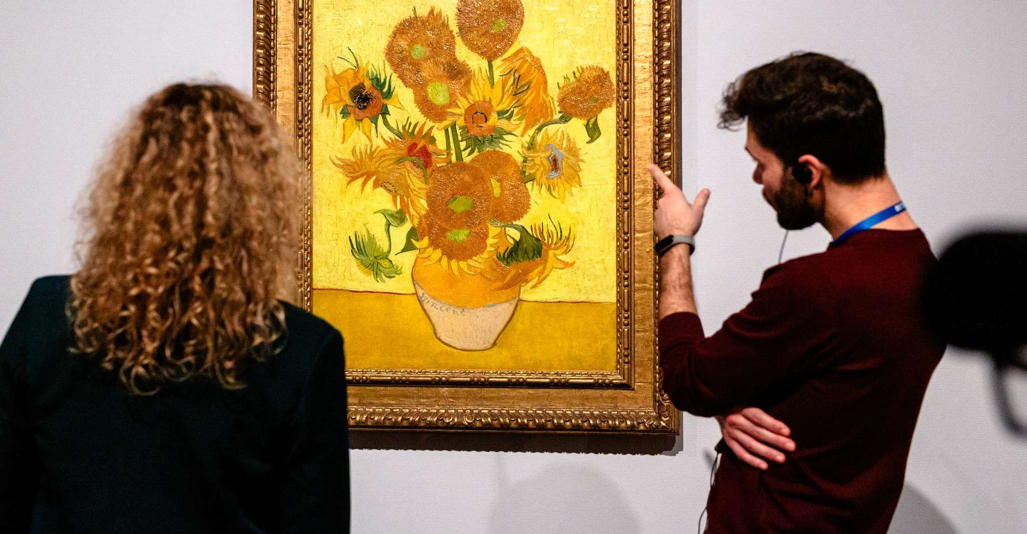 Amsterdam: Van Gogh Museum Guided Tour