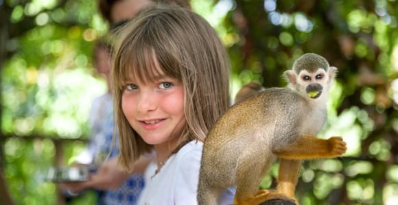 Punta Cana: Monkey Sanctuary Feeding Tour