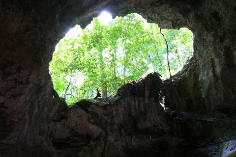 From Punta Cana: Los Haitises Tour: Mangroves, Caves + Round Mountain