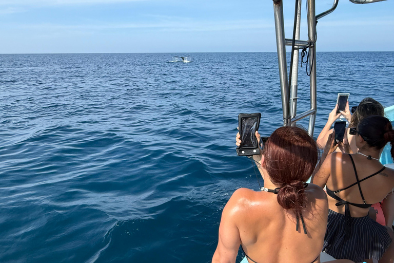 Puerto Escondido: Bootstour zu Delfinen und MeerestierenPrivate Tour