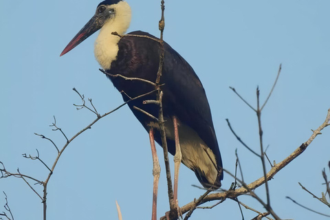 Visita guiada privada de 3 días al Parque Nacional de Ujung Kulon