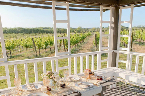 Buenos Aires: Casa Gamboa Winery Tour with Lunch & Wine