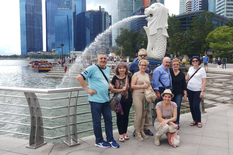 Singapore: Chinatown and Little India Guided Walking Tour 3 Hours Private Walking Tour