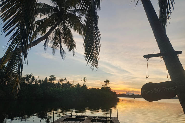 Hikkaduwa: Rathgama Lagoon Kayaking and Fish Therapy Tour