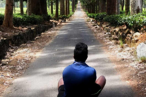 Kandy: Gombaniya Two-Day Cloud Forest Summit Trek