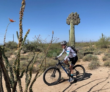 Scottsdale: Guided Mountain Bike Tour through the Desert