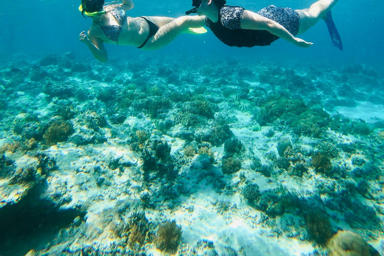 Gili Trawangan : excursion à vélo avec plongée en apnée et point de vueGili Trawangan : circuit à vélo avec plongée avec tuba et point de vue