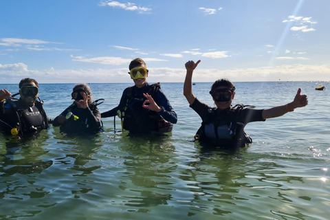 Puerto Morelos: Shore diving at Ojo de Agua Beach Club