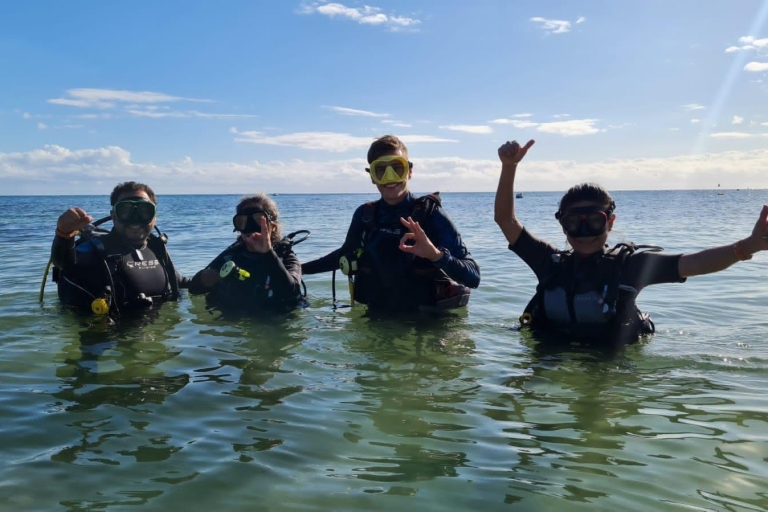 Puerto Morelos: Shore diving at Ojo de Agua Beach Club