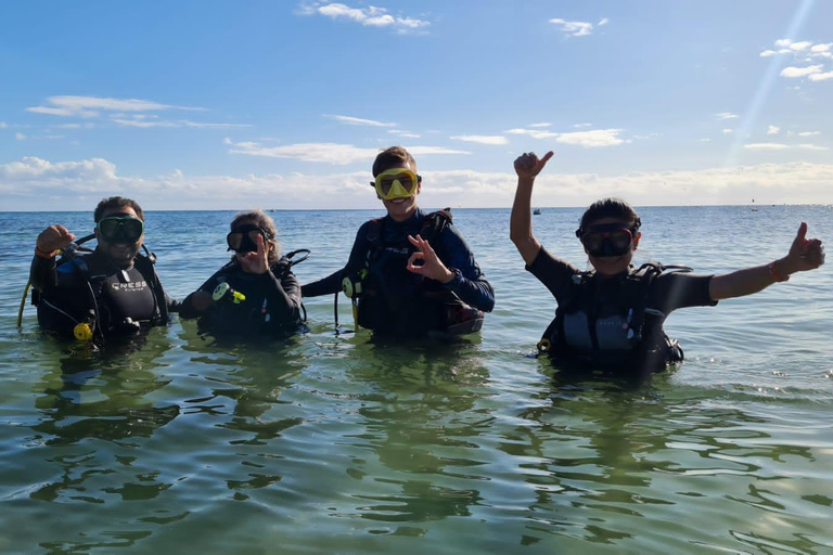 Puerto Morelos: Shore diving at Ojo de Agua Beach Club