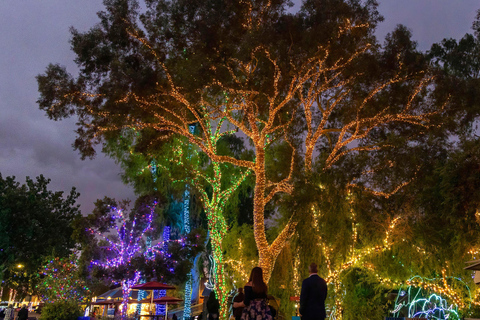 Phoenix: Phoenix ZooLights Entry Ticket