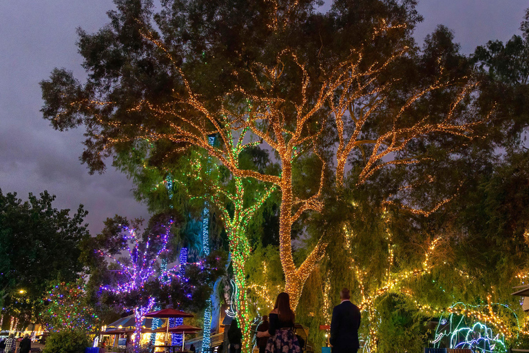 Phoenix: Phoenix ZooLights Entry Ticket