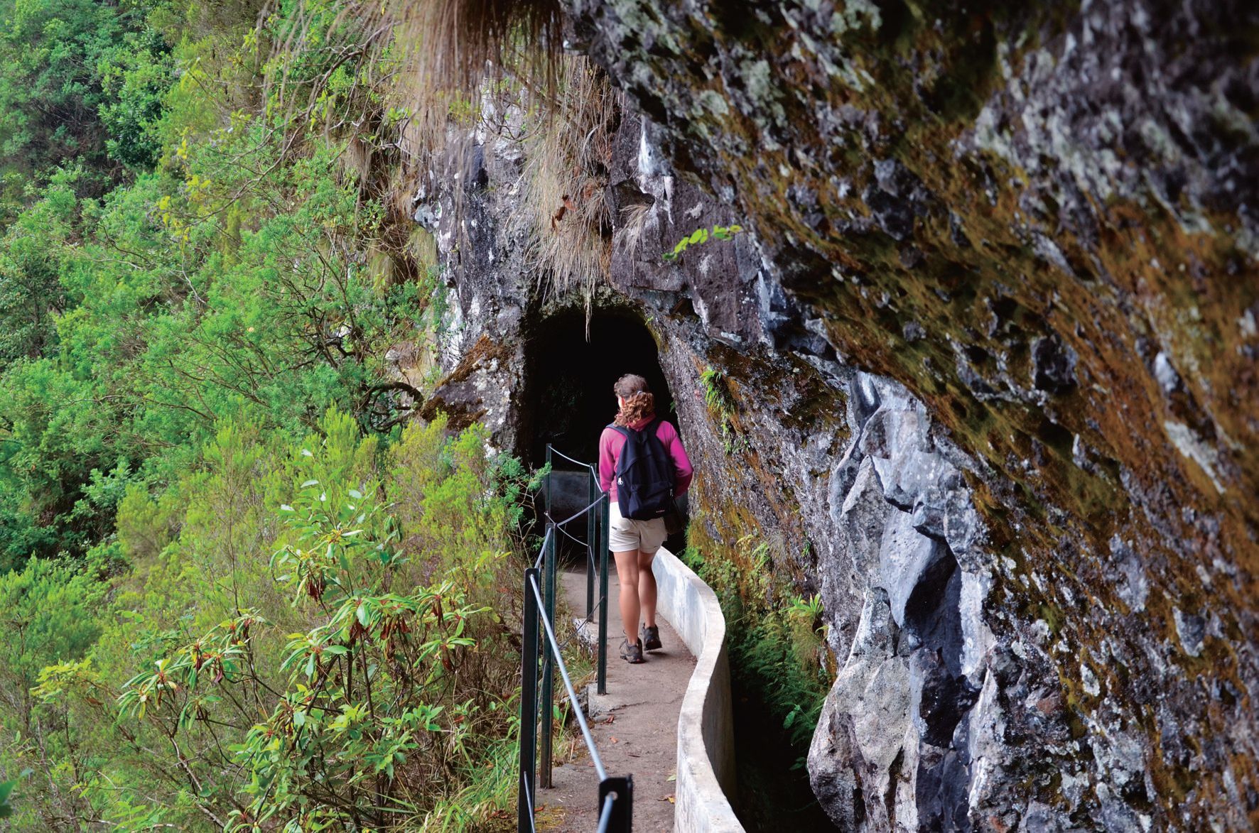 Madeira: Geführter Rundgang von Prazeres nach Ponta do Pargo
