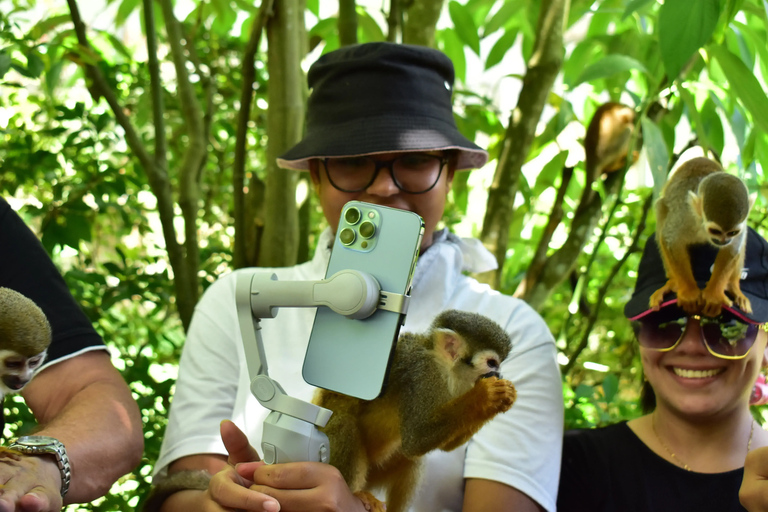 Punta Cana: Zip Line, Monkeyland, & Coconut House Tour