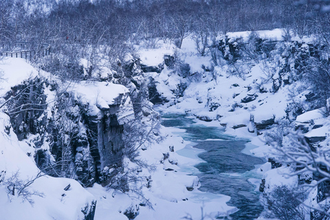 Da Kiruna: esplora Abisko di giorno