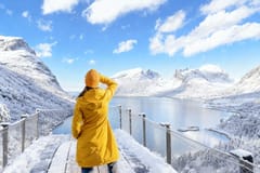 Ab Tromsø: Tagestour entlang der Nationalen Panoramastraße von Senja