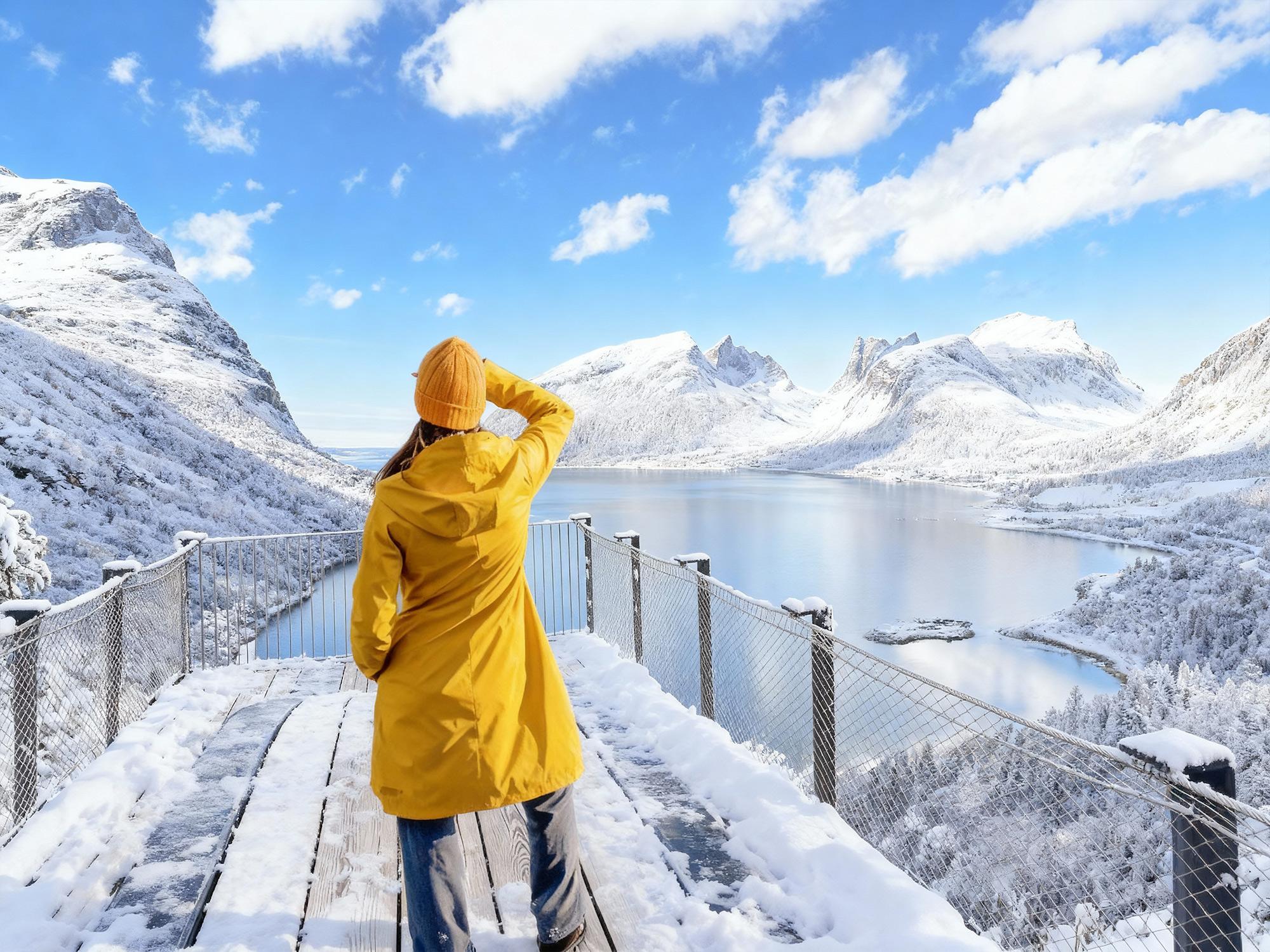 Ab Tromsø: Tagestour entlang der Nationalen Panoramastraße von Senja